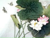 Фотография Сотниковой Юли