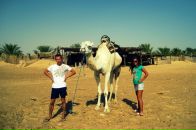 Дмитрий Валерьевич фотография #10 (источник - https://vk.com/id819704)