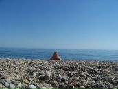 Фотография Седовой Елены