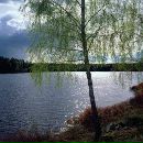 Олексій Бриж фотография #20 (источник - https://vk.com/id22062965)