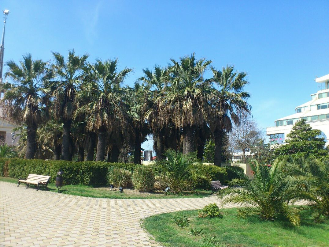 Иван Волков фотография #28