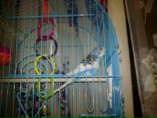 Фотография Чаицкой Ксении