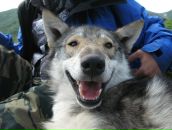 Фотография Ивахненко Алексея