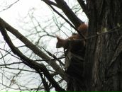 Микола Пасічник фотография #41 (источник - https://vk.com/id6477631)