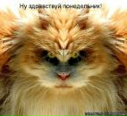 Луців Микола фотография #4 (источник - https://vk.com/id98615494)