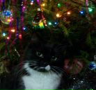 Фотография Момотовой Юльки