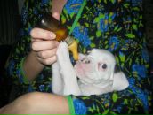 Фотография Махалова Даниила