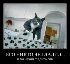 Фотография Ландарской Хельги