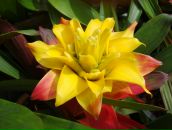 Фотография Акимова Дмитрия