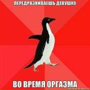 Фотография Финогеновой Лизы