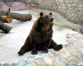 Фотография Косолапова Оля