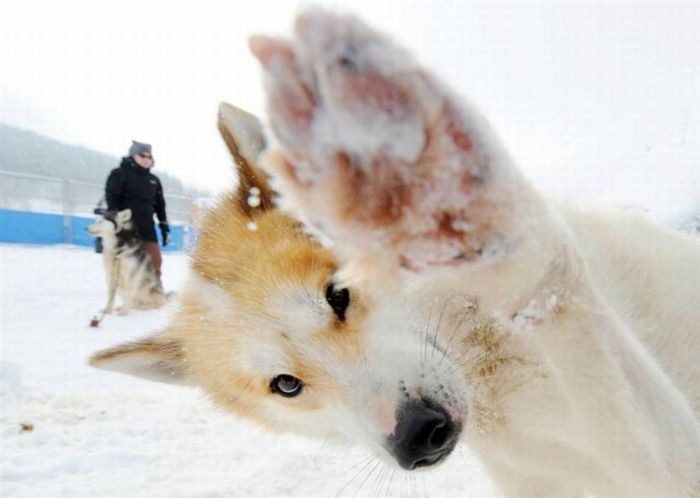 Michael Morris фотография #45