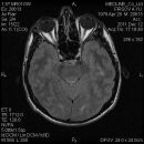 Фотография Си-Цина Ли