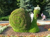 Ірина Литка (пісарєва) фотография #28 (источник - https://vk.com/id62909785)