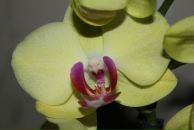 Владимир Бурматнов фотография #41 (источник - https://vk.com/id12703671)