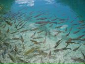 Фотография Шакировой Лейлы