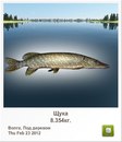 Славік Зайцев фотография #45 (источник - https://vk.com/id97164544)