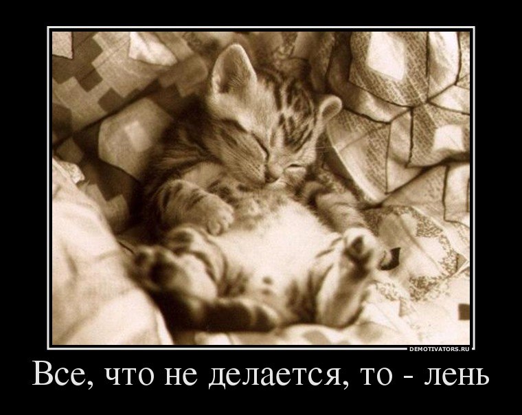 Виктор Манюхин фотография #18