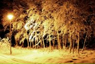 Фотография Медведевой Татьяны