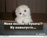 Дмитрий Недбайло фотография #9 (источник - https://vk.com/id1300758)