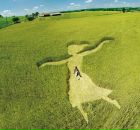 Фотография Малкиной Вероники