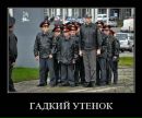 Софія Брачківська фотография #12 (источник - https://vk.com/id151012322)