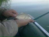 Аскар Шадыев фотография #29 (источник - https://vk.com/id3977770)