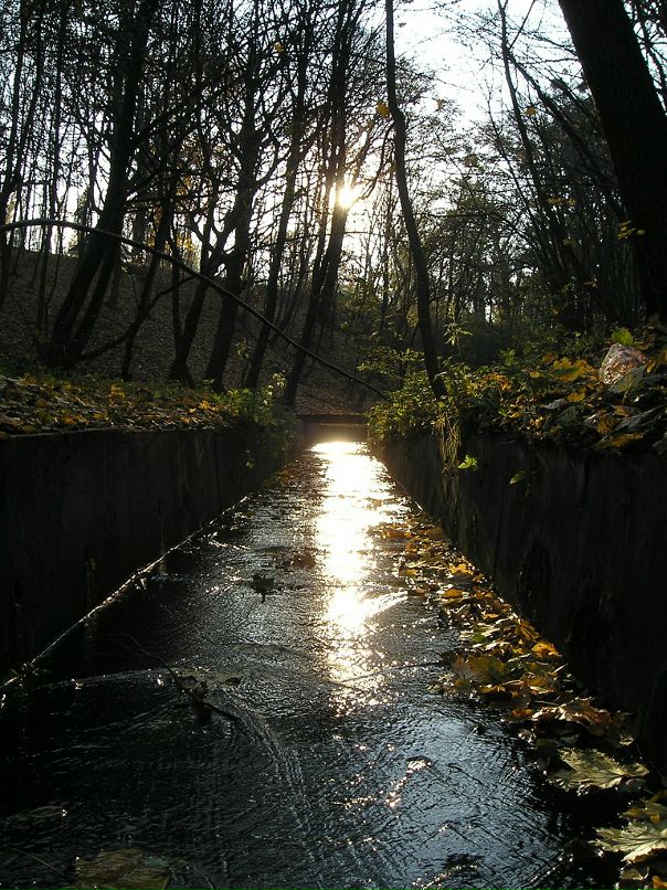 Евгений Швец фотография #19