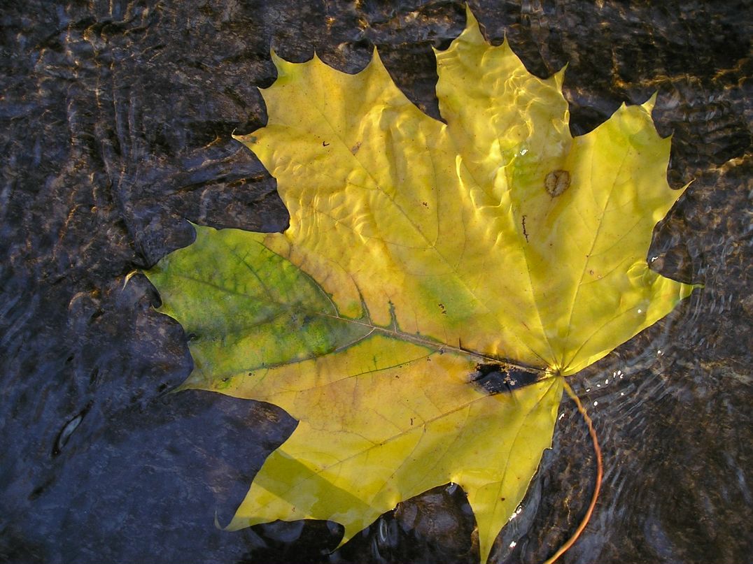 Евгений Швец фотография #24