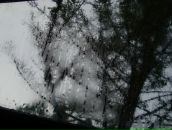 Фотография Бродской Инны