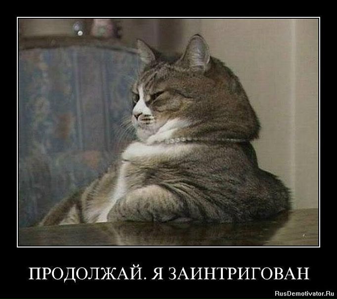 Галина Баркусевич фото №24