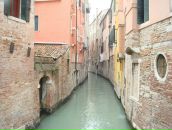 曦 巴 фотография #14 (источник - https://vk.com/id151632031)