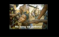 Фотография Куташевского Станислава