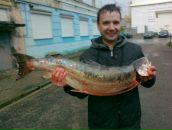 Фотография Ермакова Алекса