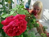 Фотография Паюк Анны