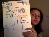 Фотография Хакимовой Светы