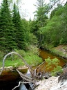 Люда Співак фотография #18 (источник - https://vk.com/id152658090)