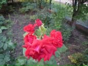 Надія Єсіна фотография #50 (источник - https://vk.com/id41631623)