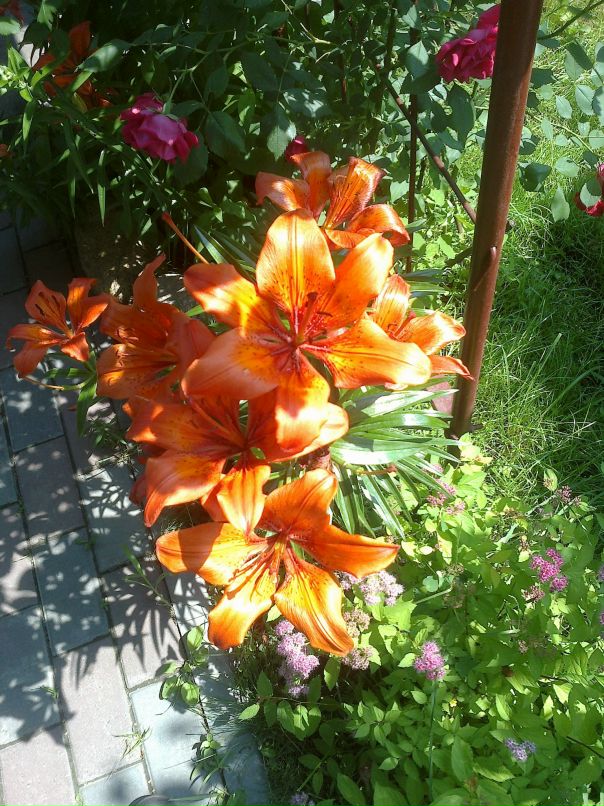 Андрей Макеенко фотография #45