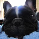 Фотография Княжевской Марии