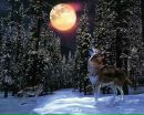 Віталя Борзонь фотография #46 (источник - https://vk.com/id54648885)