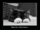 Каміла Юдицька фотография #43 (источник - https://vk.com/id134060787)