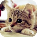 Ольга Білограй фотография #32 (источник - https://vk.com/id154324991)