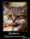 Андрій Кость фотография #28 (источник - https://vk.com/id101523145)