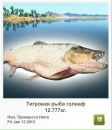 Сергій Ваксютенко фотография #31 (источник - https://vk.com/id133291802)