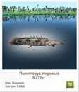 Иван Бабинец фотография #37 (источник - https://vk.com/id120069385)