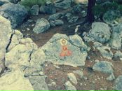 Света Давыдова фотография #12 (источник - https://vk.com/id5207845)