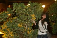 Фотография Хильман Алены