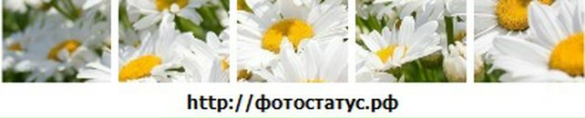 Аліночка Зубрицька фотография #1