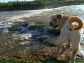 Ростік Худик фотография #34 (источник - https://vk.com/id87017695)